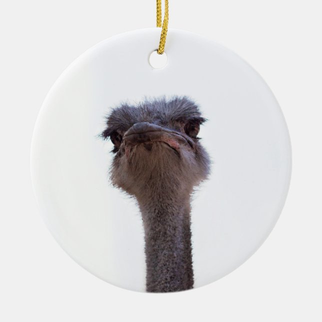 ostrich ceramic ornament (Front)