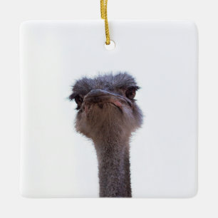 ostrich ceramic ornament