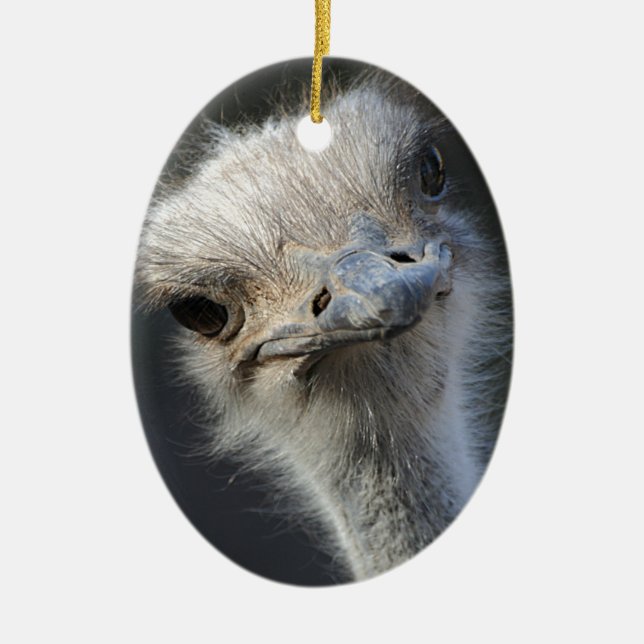 Ostrich Ceramic Ornament (Front)