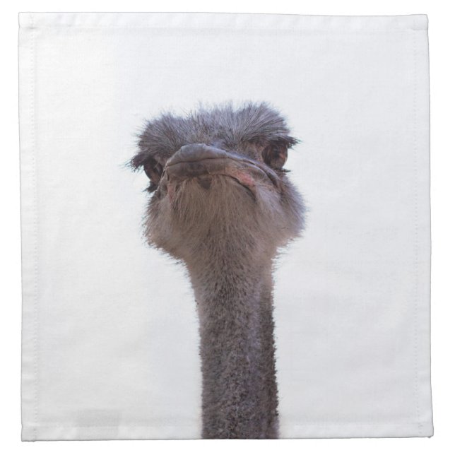 ostrich cloth napkin (Front)