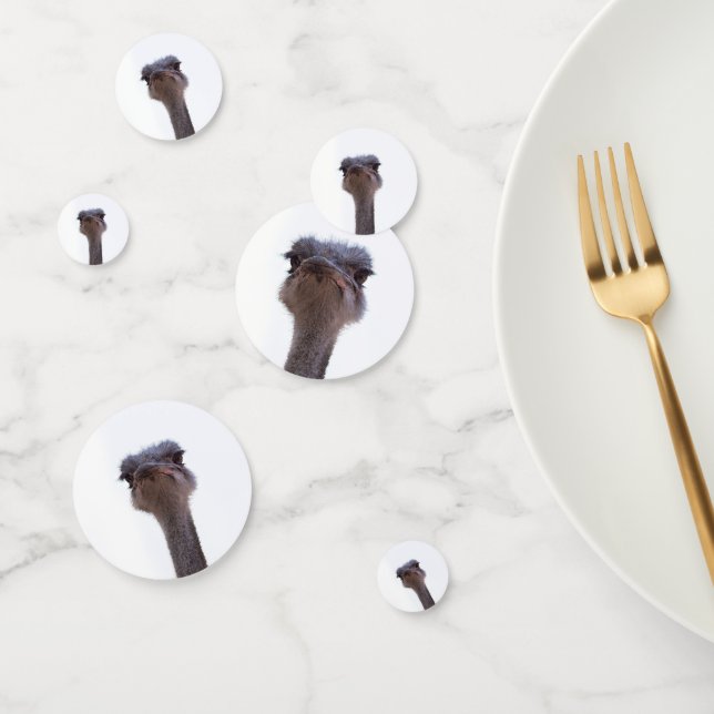 ostrich confetti (Group)