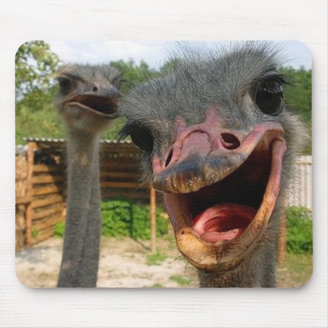 Ostrich Couple Mousepad (Front)