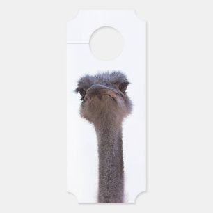 ostrich door hanger