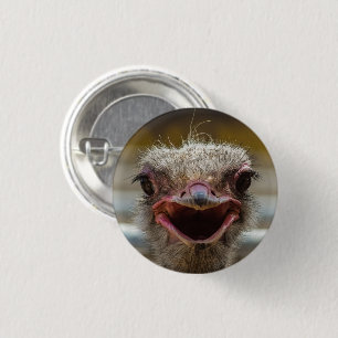 Ostrich Face Close-up Button