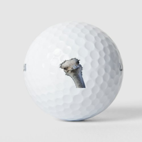Ostrich Face With Gormless Expression Golf Balls