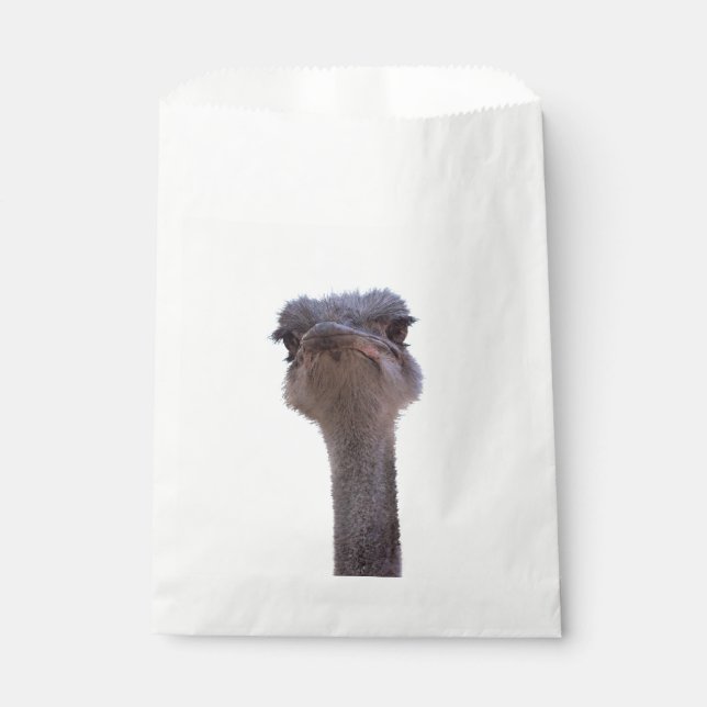 ostrich favor bag (Front)