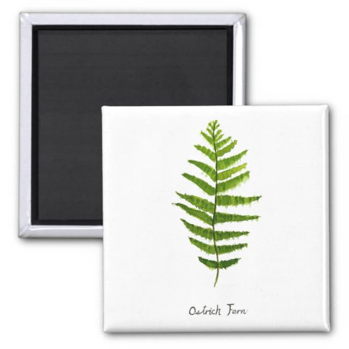 Ostrich fern watercolor magnet