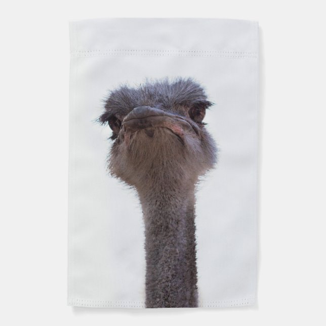 ostrich garden flag (Front)