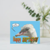 Ostrich Happy Birthday Customizable Postcard (Standing Front)