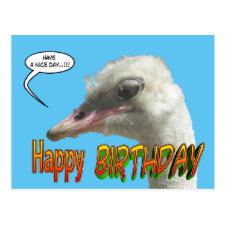 Ostrich Happy Birthday Customizable Postcard