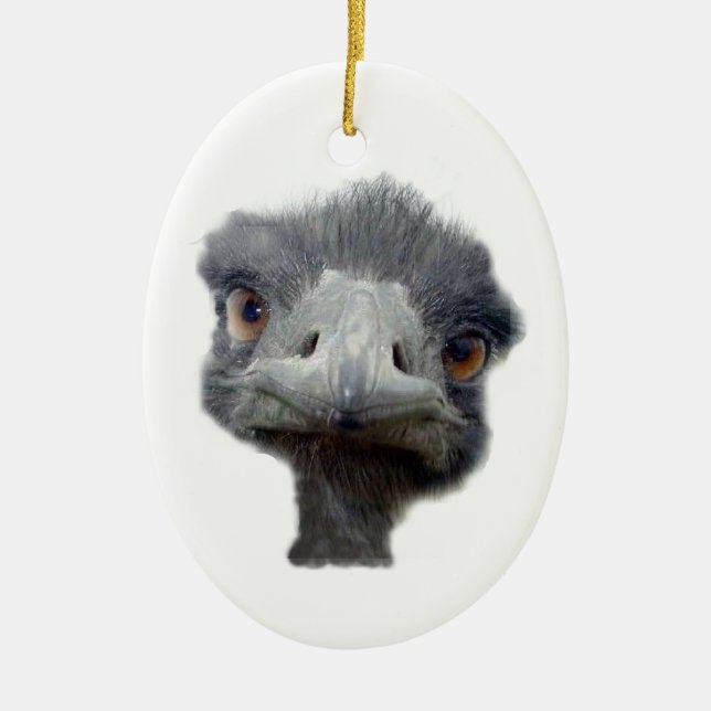 Ostrich head ceramic ornament (Front)