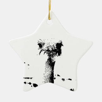 Ostrich Head in Pen and Ink Ceramic Ornament