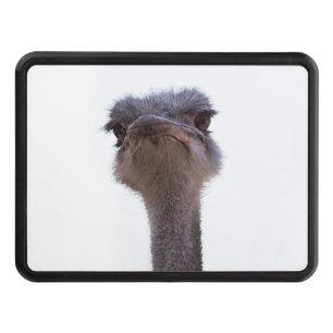 ostrich hitch cover