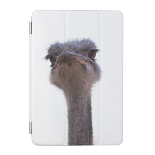 ostrich iPad mini cover