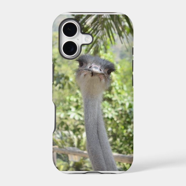 Ostrich Iphone Case (Back)