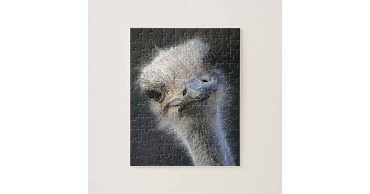 Ostrich Jigsaw Puzzle | Zazzle