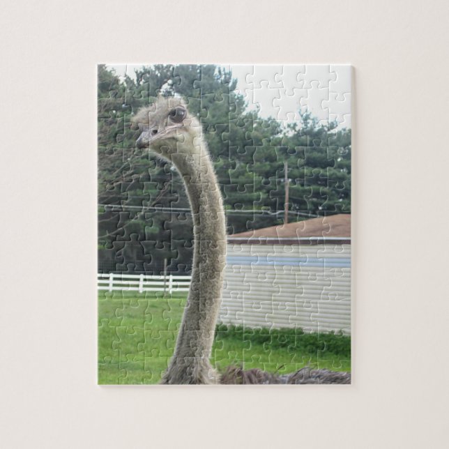 Ostrich Jigsaw Puzzle (Vertical)