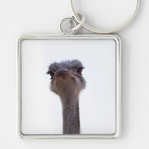 ostrich keychain