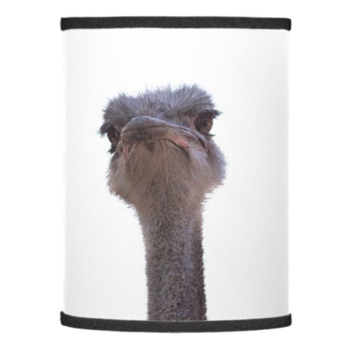 ostrich lamp shade