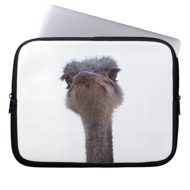 ostrich laptop sleeve (Front)
