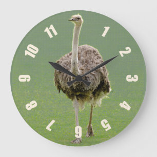 Ostrich Large Clock