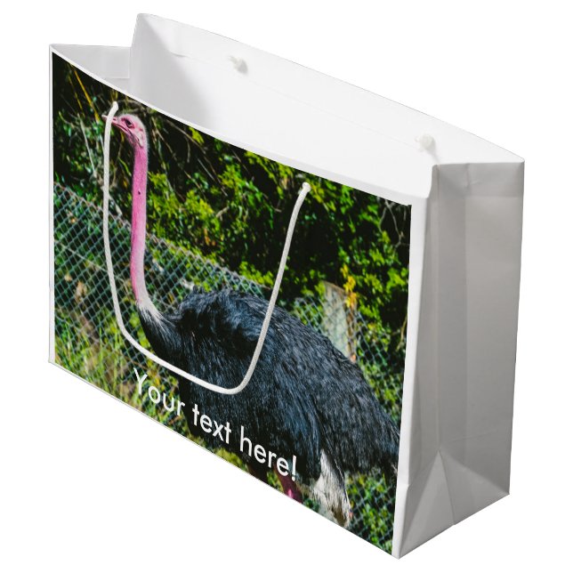 Ostrich Large Gift Bag (Front Angled)