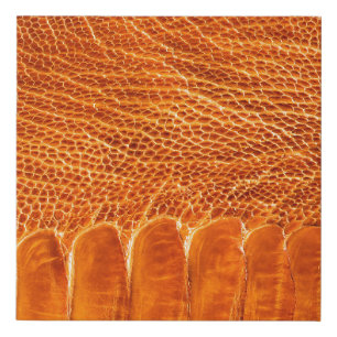 Ostrich leather texture faux canvas print