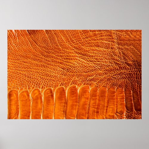 Ostrich leather texture poster