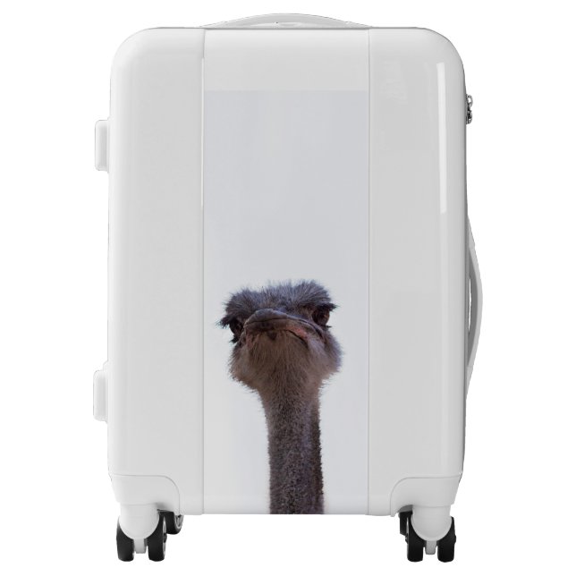 ostrich luggage (Front)