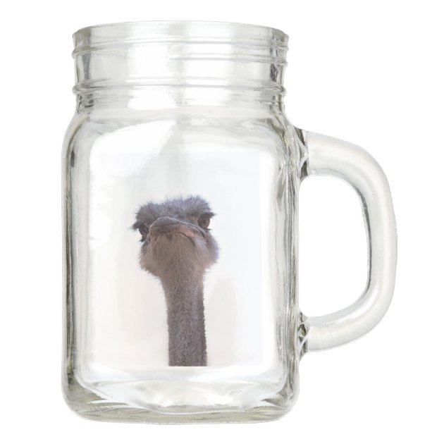 ostrich mason jar | Zazzle