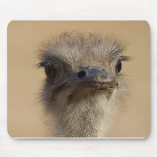 Ostrich Mouse Pad