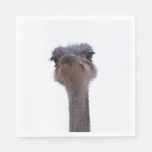 ostrich napkins