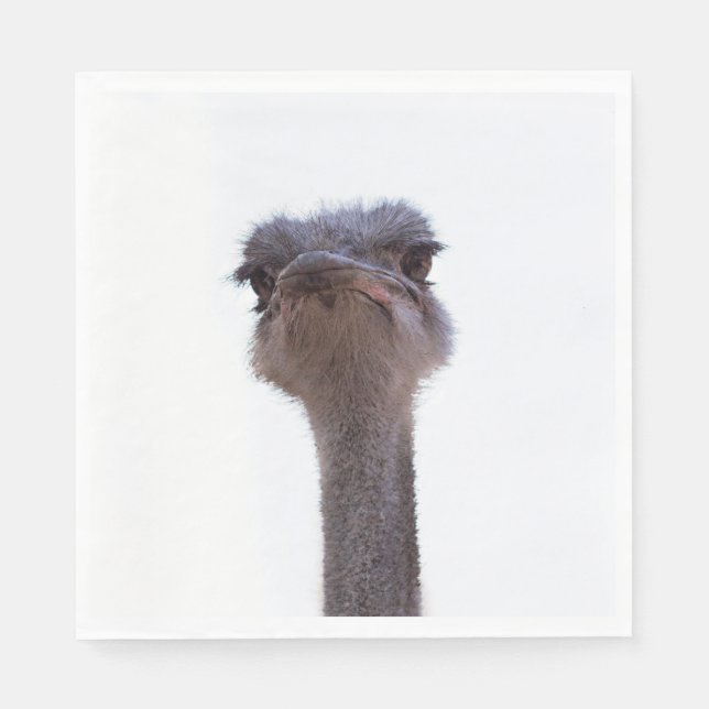 ostrich napkins (Front)