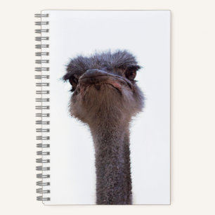 ostrich notebook