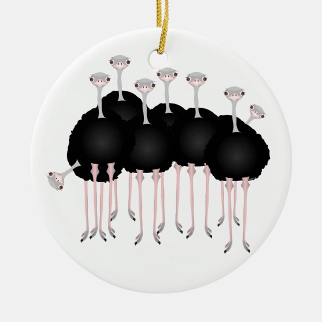 Ostrich Ornament (Front)