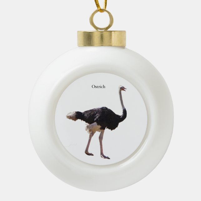 Ostrich ornament (Front)