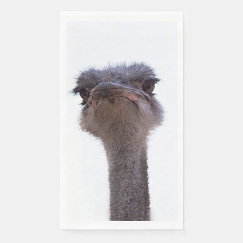 ostrich paper guest towels
