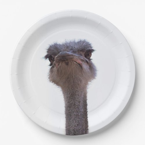 ostrich paper plates
