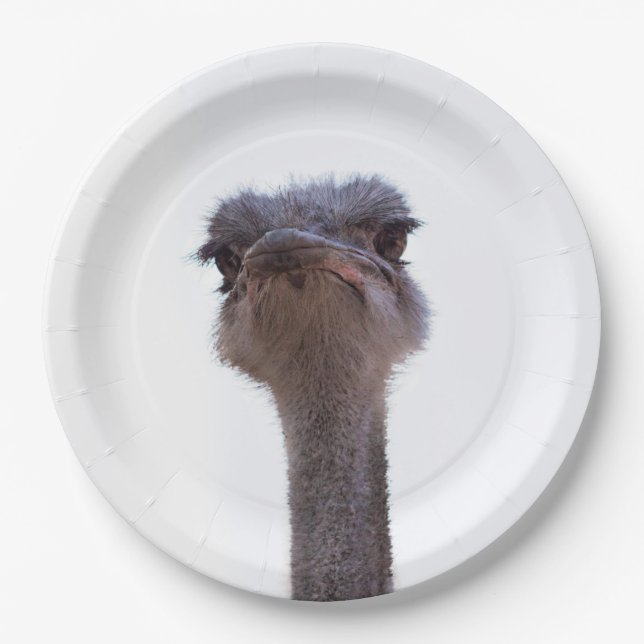 ostrich paper plates (Front)