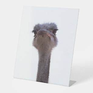 ostrich pedestal sign