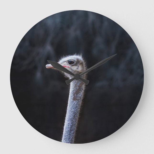 Ostrich Photography Large Clock (Front)