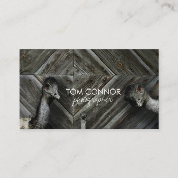 Ostrich Photoshoot Photographer Business Card by GetArtFACTORY at Zazzle