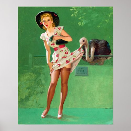 Ostrich Pin Up Poster