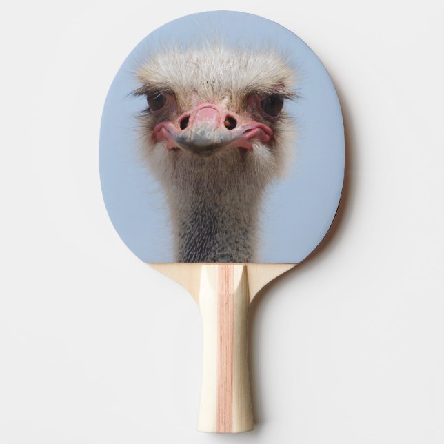 Ostrich Ping Pong Paddle (Front)