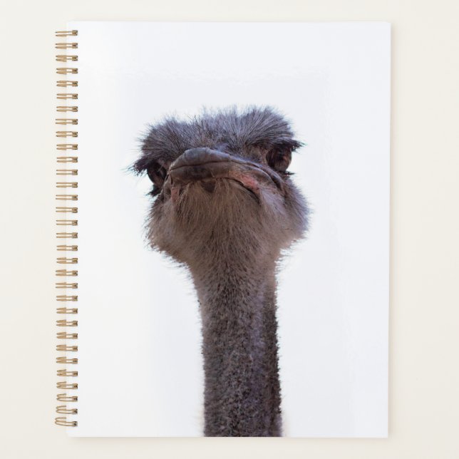 ostrich planner (Front)