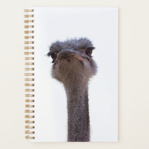 ostrich planner