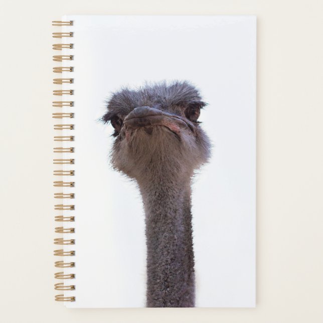 ostrich planner (Front)