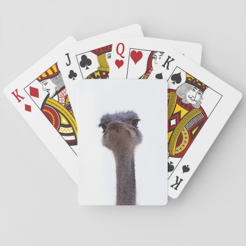ostrich poker cards
