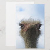 Ostrich Portrait (Front/Back)
