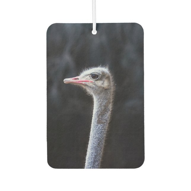 ostrich portrait   air freshener (Front)